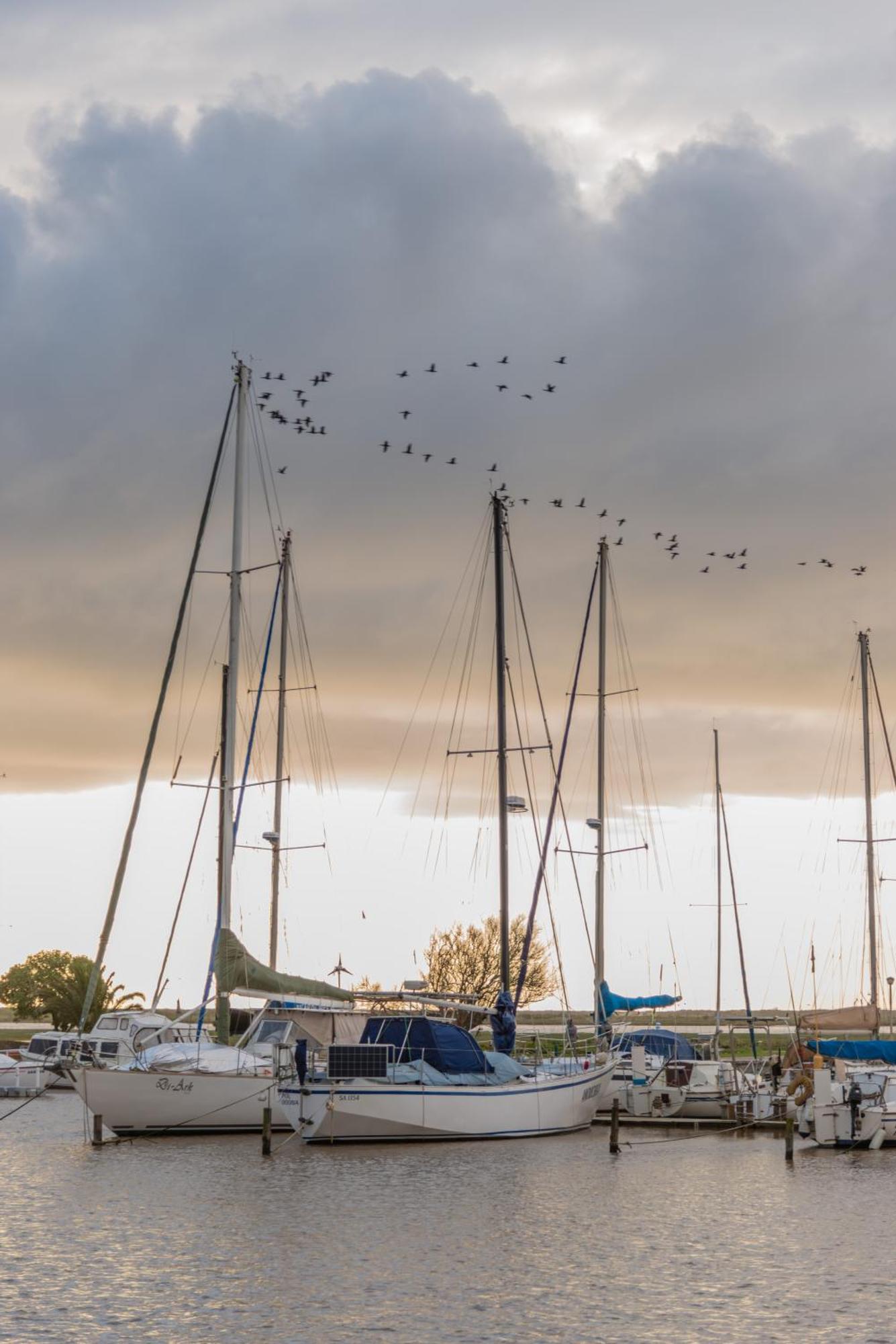 The Waterfront * Velddrif